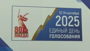 На площадке Общественной палаты подведены итоги наблюдения на выборах в Оренбургской области
